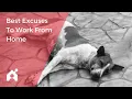 Best Excuses To Work From Home