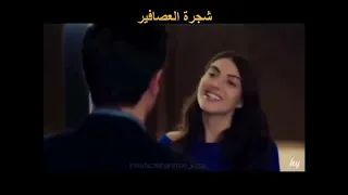 انتى الحب اللى مقوينى 1 