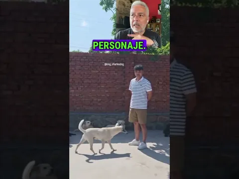 Un CAMPO DE CONCENTRACIÓN para perros... 😔