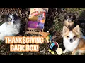 A Dog s Thanksgiving - Opening Our November 2021 BarkBox