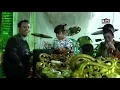 Download Lagu LARA ATI TETALU DWI WARNA