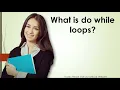 What is do while loops