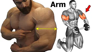 14 best workout to get big and perfect arms