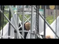 Download Lagu 131006 GROWL REHEARSAL