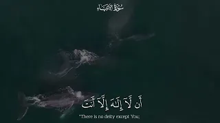 فنادى في الظلمات ان لا اله الا انت سبحانك اني كنت من الظالمين  القارى عبدالرحمن مسعد سورة الأنبياء  دندنها