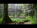 10 Hrs Rainforest & Rain for Relaxing, Nature Sounds for Sleep, Meditation, Insomnia, SPA, Study