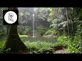 Download Lagu 10 Hrs Rainforest \u0026 Rain for Relaxing, Nature Sounds for Sleep, Meditation, Insomnia, SPA, Study