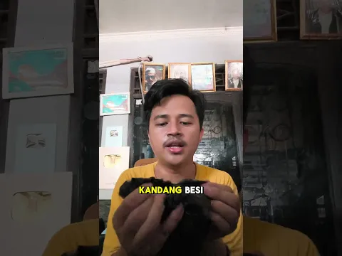 Solusi untuk Hamster yang kepanasan , Kipas Mini Aquarium