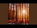Download Lagu Morning Sun