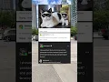Download Lagu Moeder noemde mijn katten 'kleine diefstal' en 'grote diefstal'! 😹