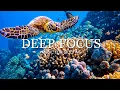 Lagu Deep Focus Music To Improve Concentration - 11 Hours of Ambient Study Music to Concentrate #13