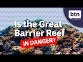 Protecting The Great Barrier Reef - Behind the News