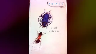 kriket lumpur di kuala lumpur