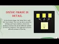 MERGE SORT ALGORITHM ON LINKED LISTS ADA -