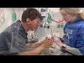 Spay Day 2023