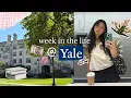 Download Lagu first week of uni vlog @ yale | come to class w/me, busy study days, catch up w/friends