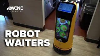 As restaurants struggle with staffing a new restaurant in Pineville is turning to robotic waiters