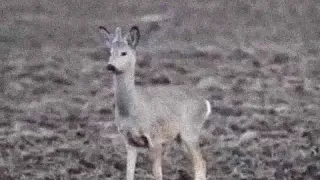 XXXTENTACION ALONE PART 3 Slowed To Perfection 