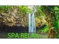 Download Lagu Relaxing Spa Music, Meditation, Healing, Stress Relief, Sleep Music, Yoga, Sleep, Zen, Spa, ☯277