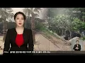 돈 먹는 하마 ‘강릉 야자수’…수목 관리에만 8억 원 / KBS  2023.07.20.