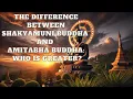 Download Lagu The Difference Between Shakyamuni Buddha and Amitabha Buddha Who Is Greater | Mind Podcast MP3
