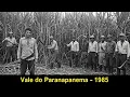 Lagu O MISTÉRIO dos 11 Cortadores de Cana Que NUNCA Voltaram do Vale Paranapanema,Interior São Paulo,1985
