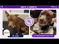 Lost Pet Petco Love Lost Reunites Families Fast 100 000 Pets Already Found