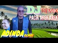 Download Lagu Trio Gali Gali Pacik Arek Arek Cover Adinda Gemoy Versi Dendang Remix DJ live Mister dolar musik