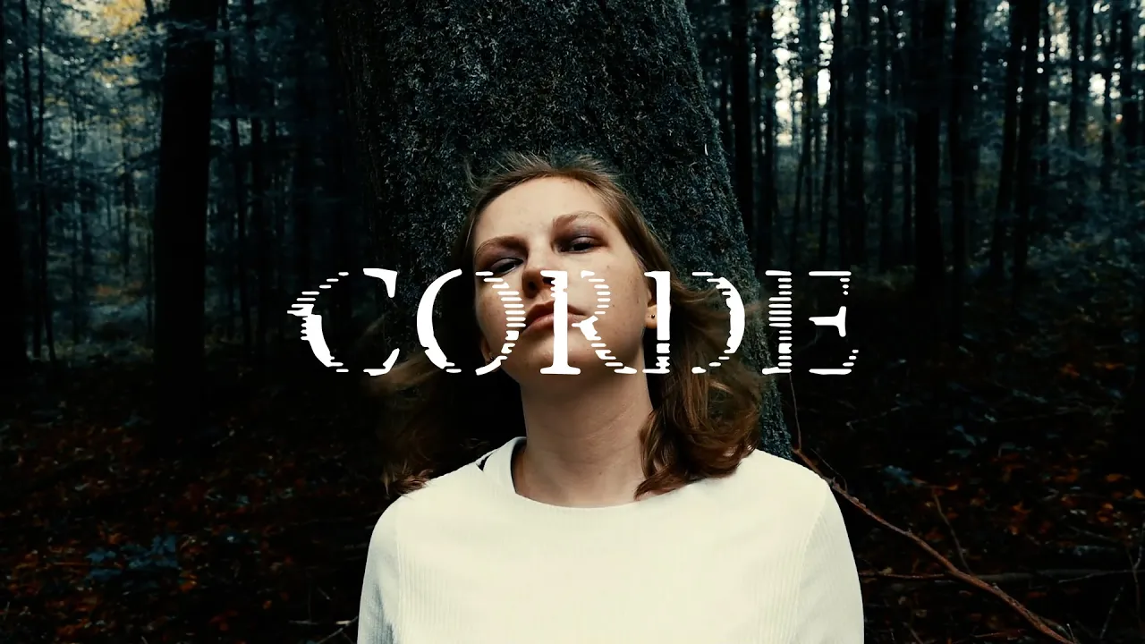 Crushed to the ground