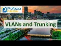 VLANs and Trunking - CompTIA Network N10-009