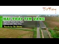 Download Lagu KARAOKE HAI TRÁI TIM VÀNG ll TONE NAM ll THẾ PHƯƠNG