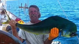 Ep 78 | Monster Dorado, Sailing Nutshell