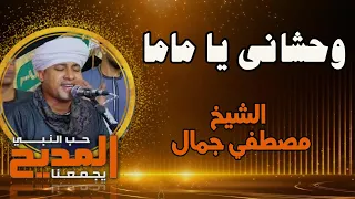 وحشاني يا ماما وحشاني وحنانك ساكن وجدانى  ستنا السيدة زينب   الشيخ مصطفي جمال دندنها