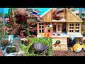 Download Lagu WOW Keren! Memasukkan kelomang hias besar,umang umang,ikan cupang,siput dan kura kuraa