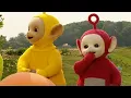 Download Lagu Teletubbies Nederlands ⭐ 1 uur compilatie 2 ⭐ Beste Teletubbies afleveringen