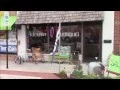 ROBEY S ANTIQUES