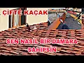 Download Lagu BİR HAFTADİR GEZEN KAÇAK MİRO VE SONRADAN GELEN SÜRPRİZ MACAR BASKA