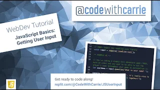 JavaScript Basics Getting User Input