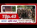 Download Lagu BỆNH NHÂN SINH phàm tục của giả Sư Thích Minh Tuệ và Trí Thức Giả