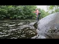 Drought affects Trout stocking in streams
