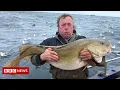 Nutrition Facts - COD FISH