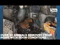 Filth darkness and neglect Over 30 animals rescued man facing animal cruelty charges