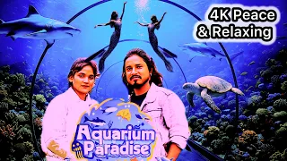 Watch Before Sleep |ASMR 4K Aquarium Paradise Bangalore | Peace & Relaxing Video