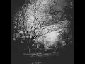 Sad Spring - march jeong
