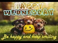 Happy Wednesday Wishes Cute Animal Greetings to Brighten Your Day