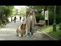 Man who spent 20K to transform himself into border collie steps out for first ever walk in public