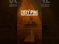Cozy Pine Irvine s Hidden Speakeasy