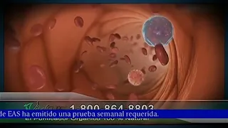 KVEA-TV TeleXitos Required Weekly Test EAS 23