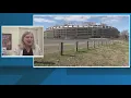 A financial expert at GW has some information on the new Commanders stadium