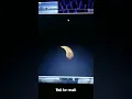 Amazing Circle Draw in Python Turtle